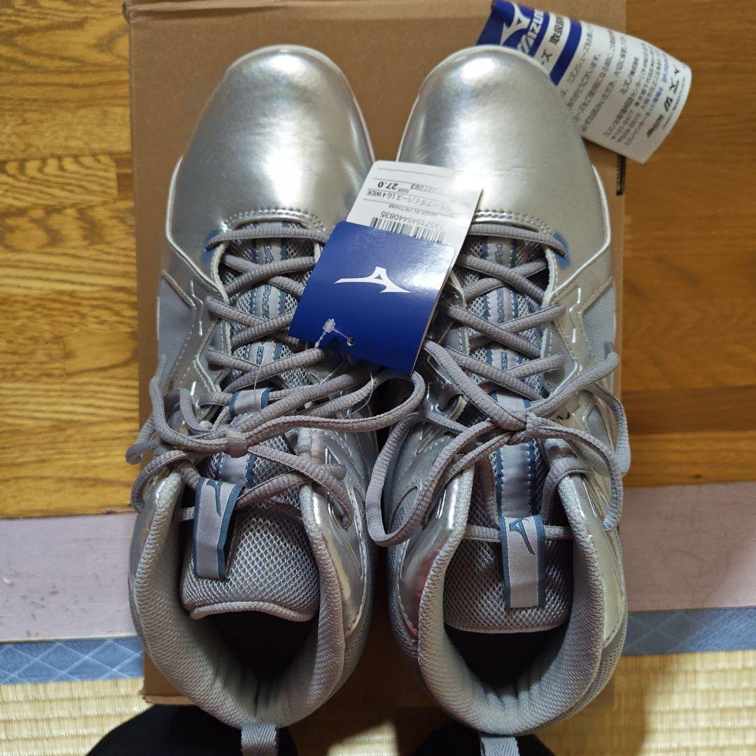 その他 Mizuno Wave Diver SL D Wide 27.0cm