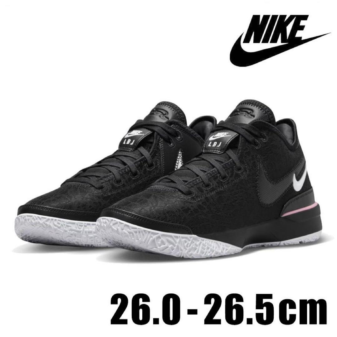 シューズ(男性用) NIKE ZOOM LEBRON NXXT GEN EP DR8788 003