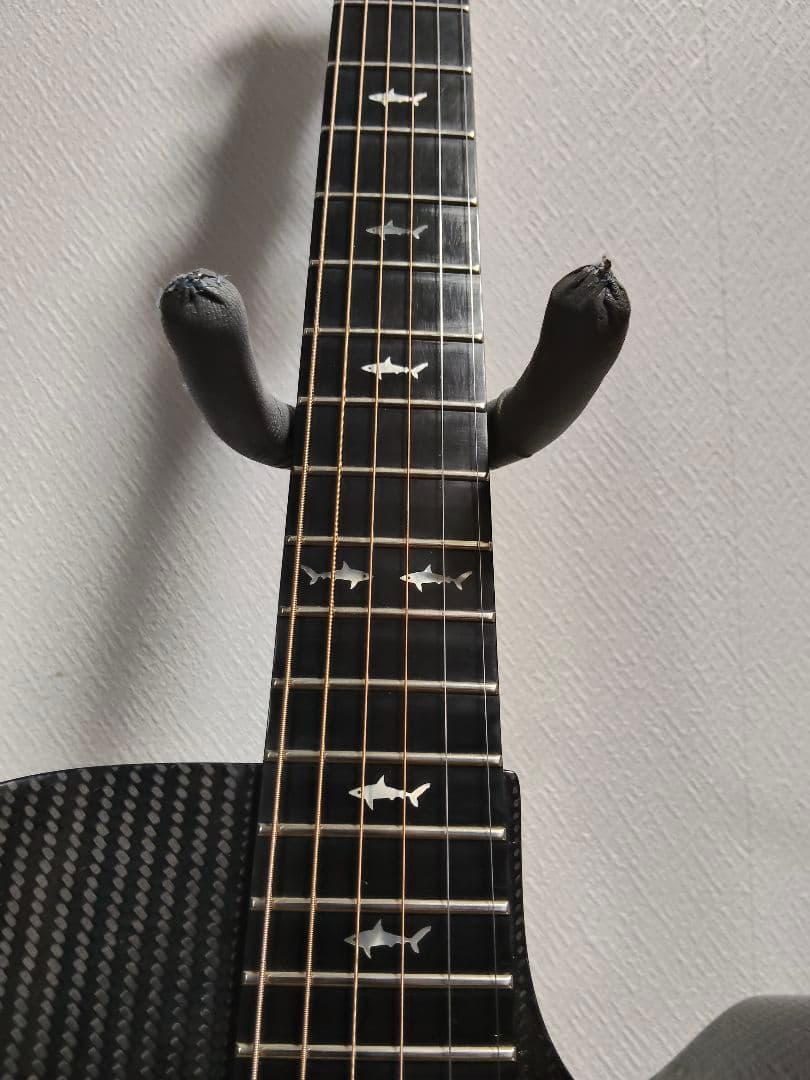 RainSong WS1000 N1 初期型 LR Baggs カーボンギター