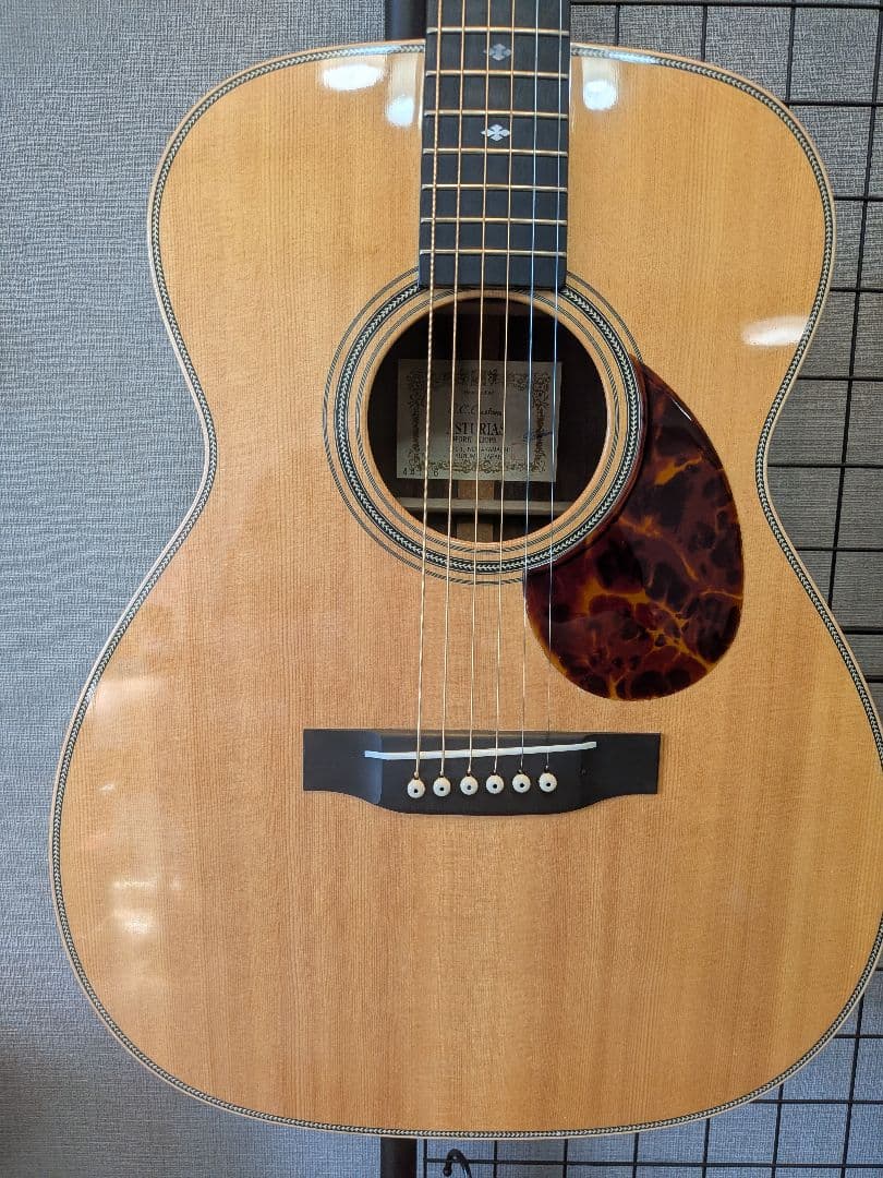 ギター ASTURIAS EC Custom