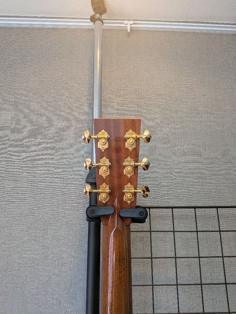 ギター ASTURIAS EC Custom