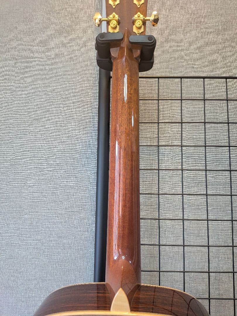 ギター ASTURIAS EC Custom
