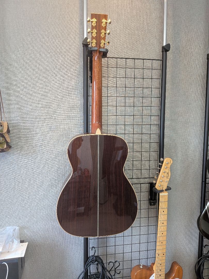 ギター ASTURIAS EC Custom