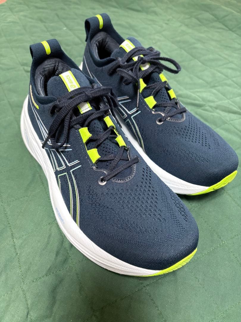 ASICS GEL-NIMBUS 26 アシックス ゲルニンバス27.5㎝