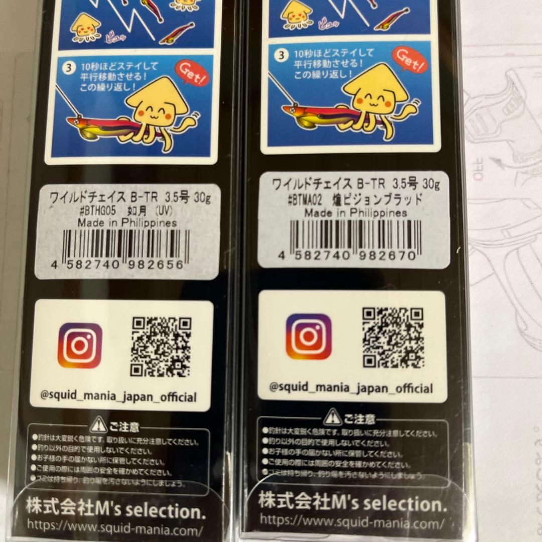 ワイルドチェイスB-TR 特注カラー3.5号30g5本