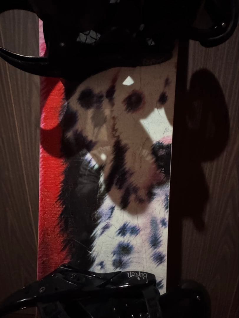 スノーボード 犬デザイン