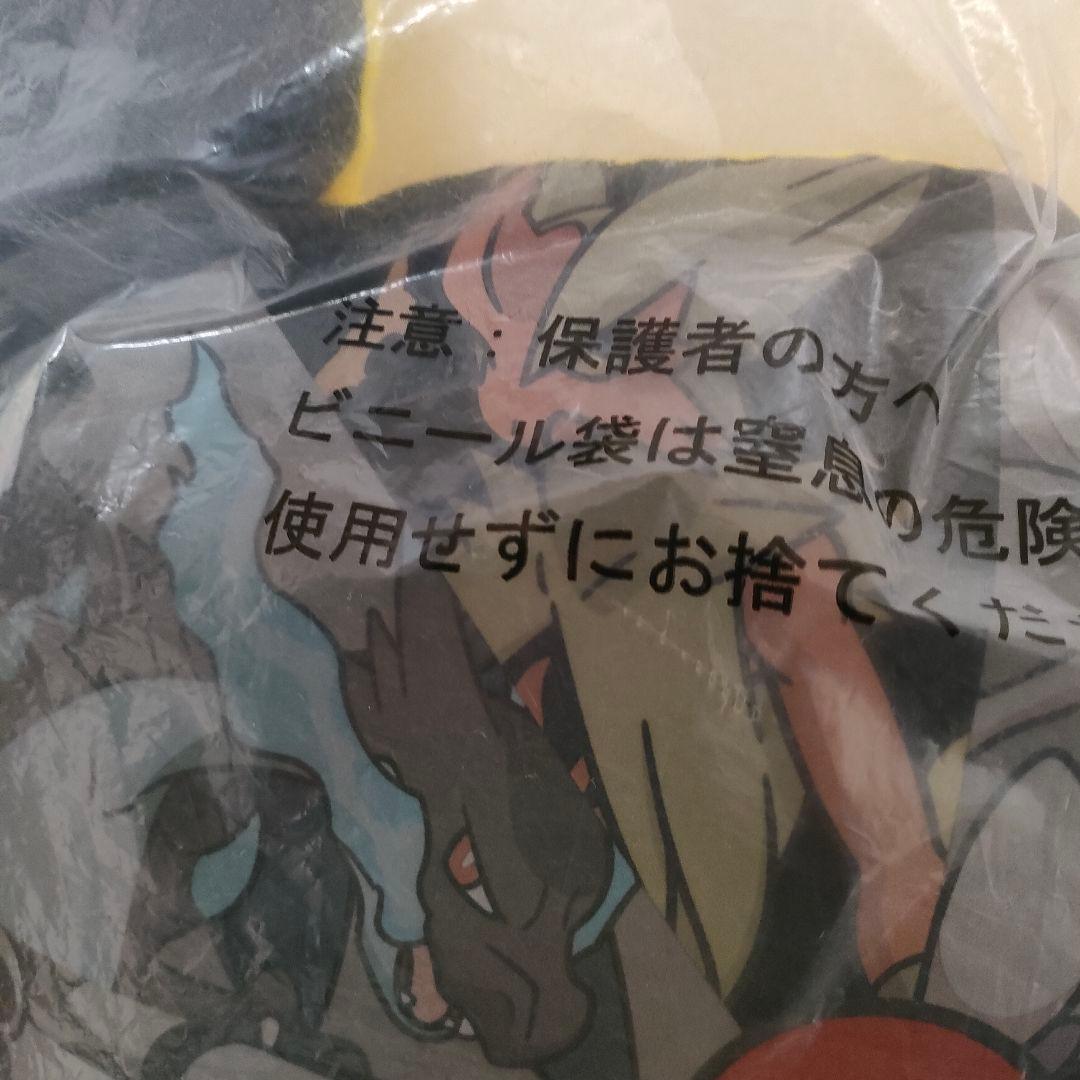 未開封 銀タグ ポケモンセンター メガ進化 クッション 2014 XY