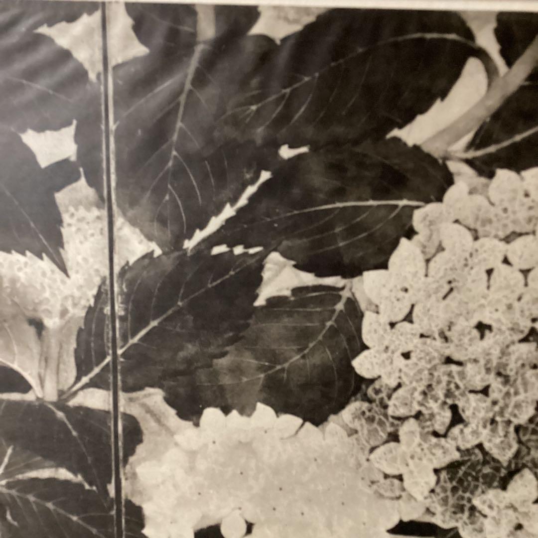 天才画家　速水御舟　便利堂監修　作品大作編　【翠苔緑芝部分紫陽花之図】NO 28