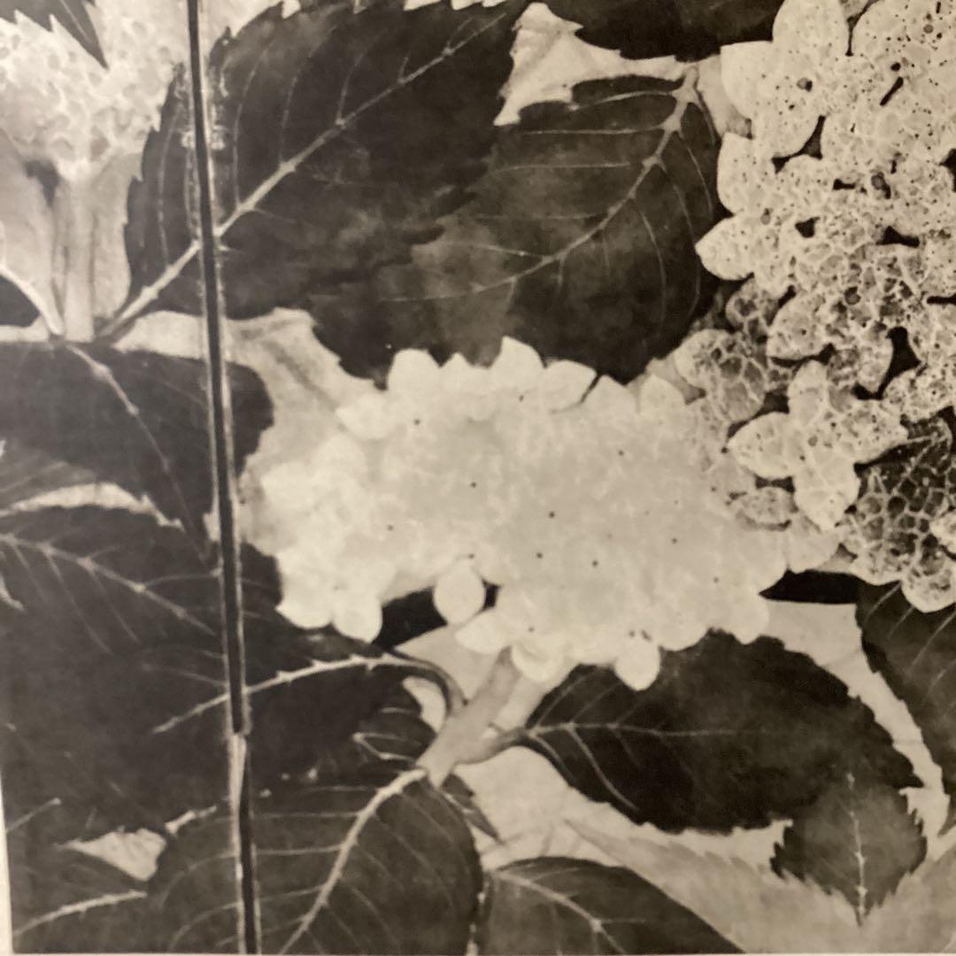 天才画家　速水御舟　便利堂監修　作品大作編　【翠苔緑芝部分紫陽花之図】NO 28