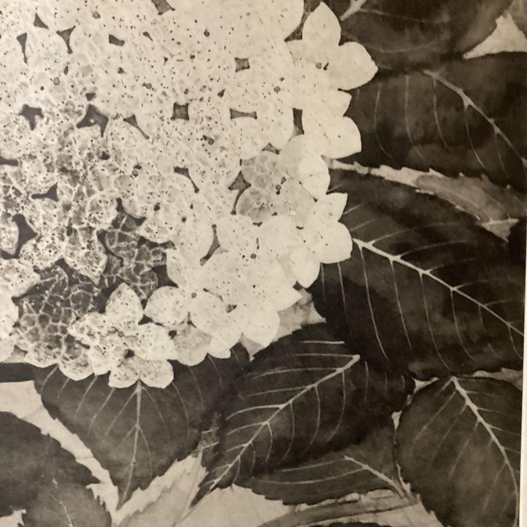 天才画家　速水御舟　便利堂監修　作品大作編　【翠苔緑芝部分紫陽花之図】NO 28