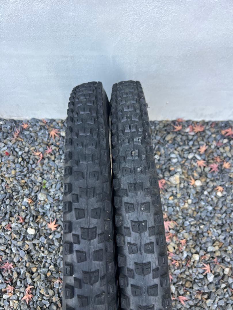 Pirelli Scorpion DH M 29×2.5 MTB タイヤ