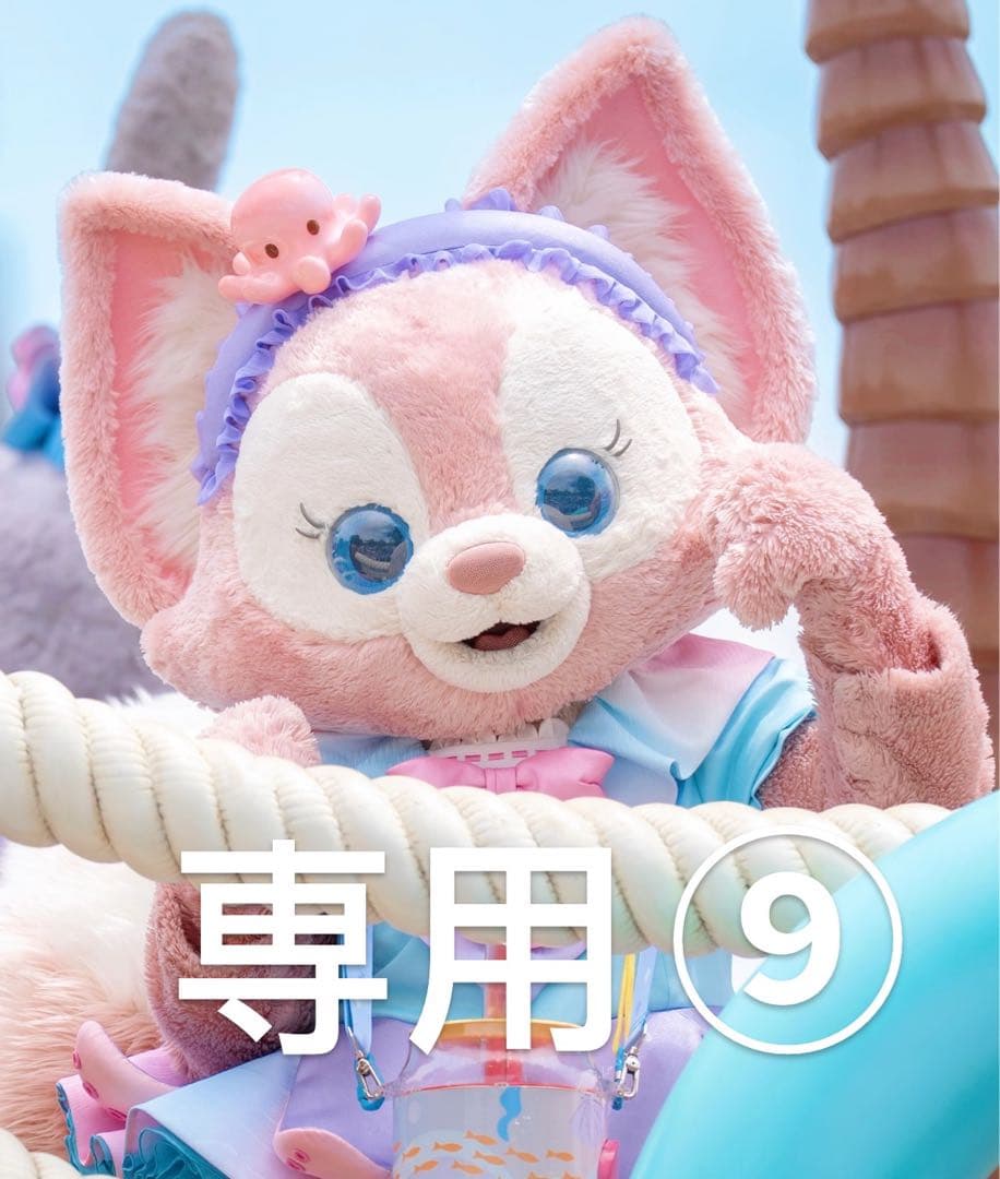 専用⑨