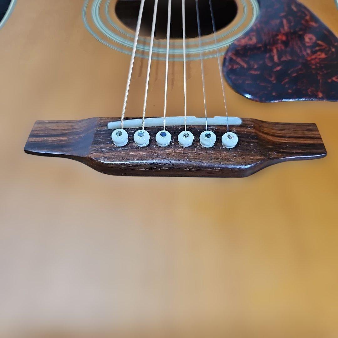 Epiphone.Masterbilt.DR-500MENS オール単板エレアコ