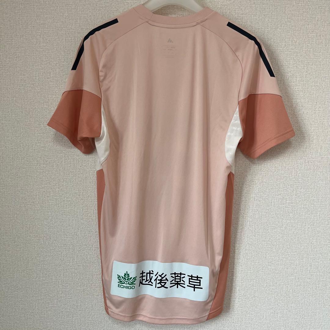 アルビレックス新潟　TIRO25コンペティショントレーニングジャージー　Mサイズ