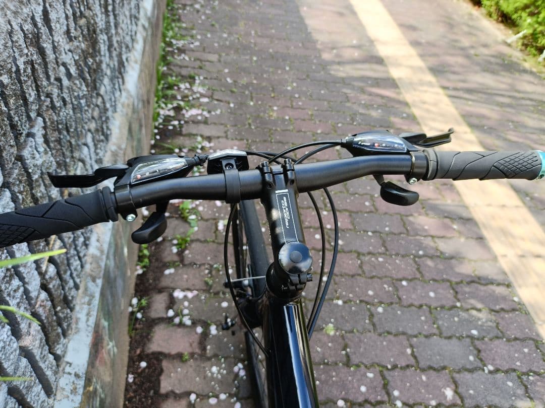 Bianchi C-SPORT1 ブラック 51 カスタム塗装 クロスバイク