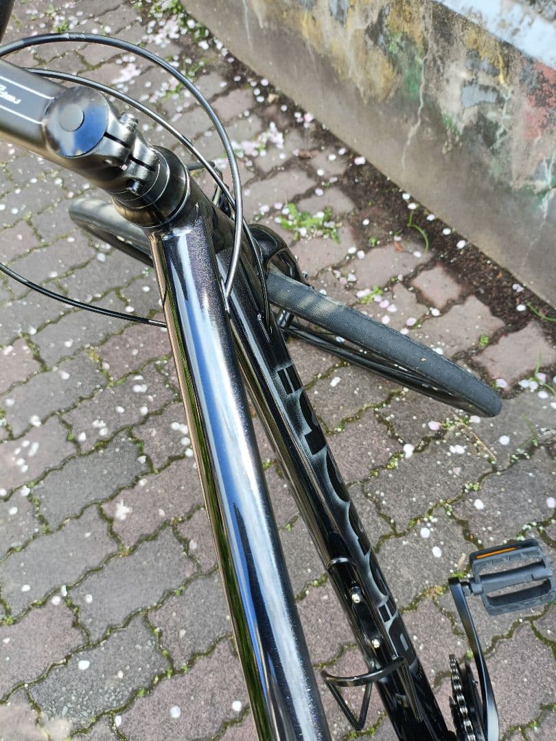 Bianchi C-SPORT1 ブラック 51 カスタム塗装 クロスバイク