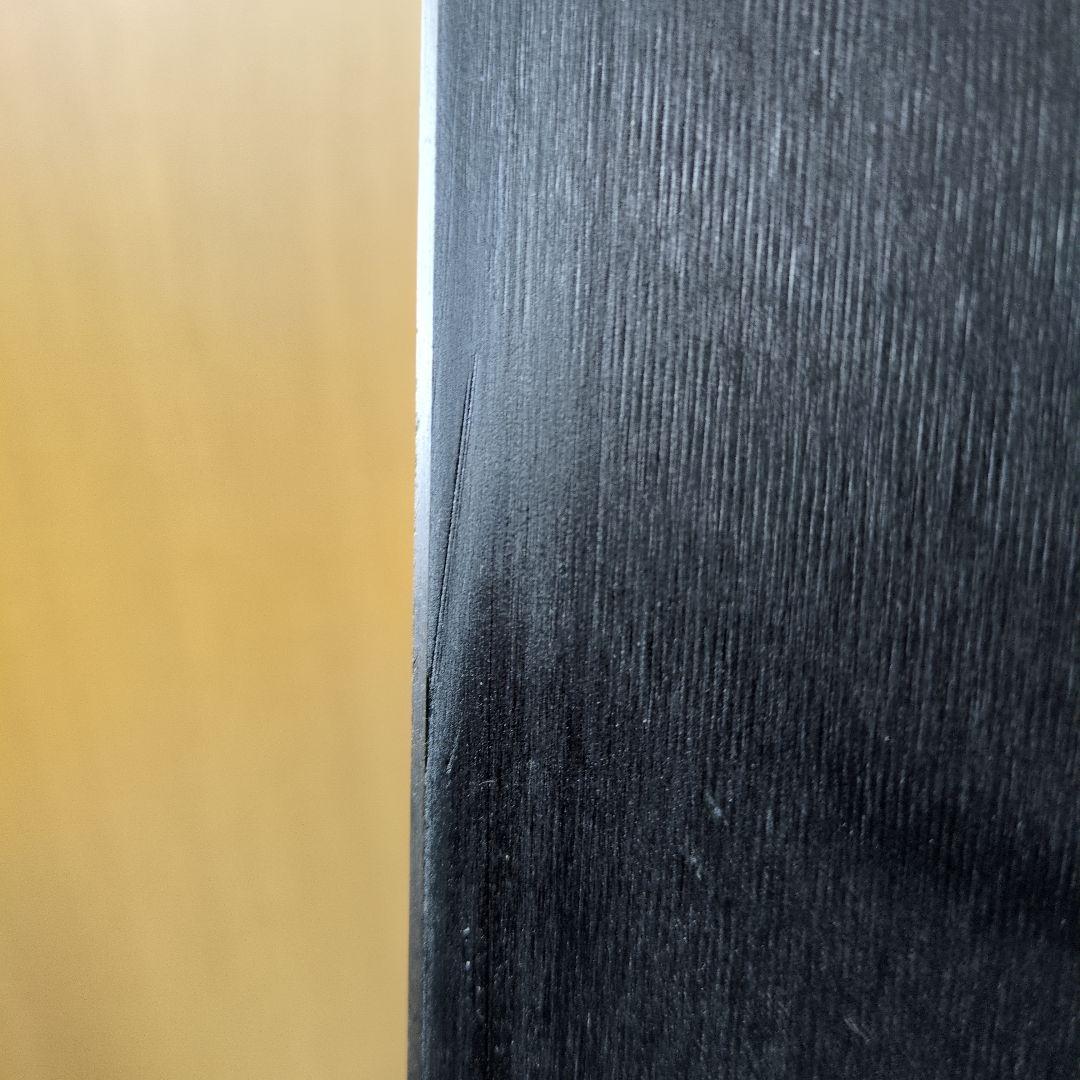 ROSSIGNOL ロシニョール GS 182cm