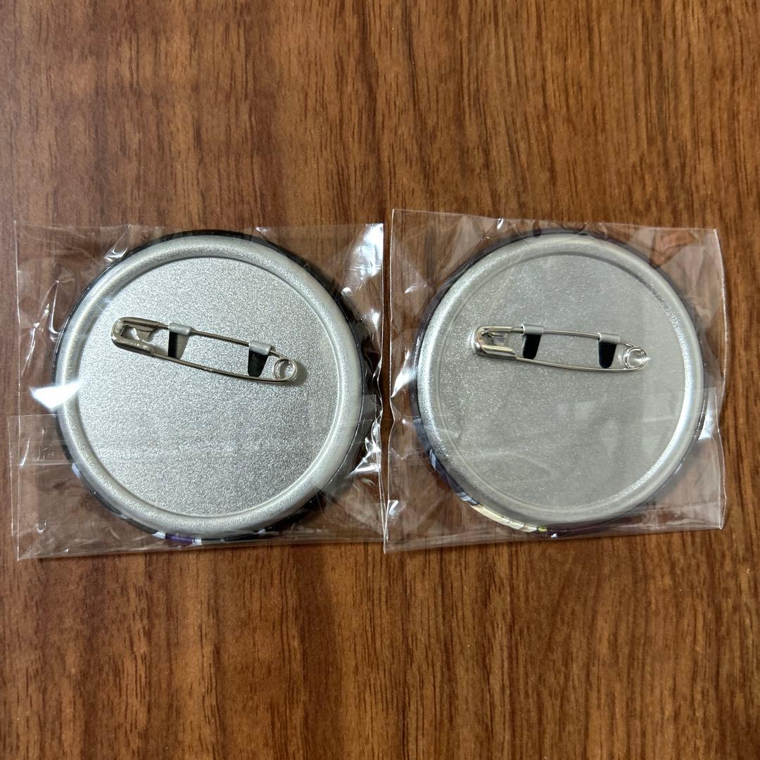 ドクターストーン DVD購入特典 缶バッジ （ゼノ＆スタンリー）2個セット