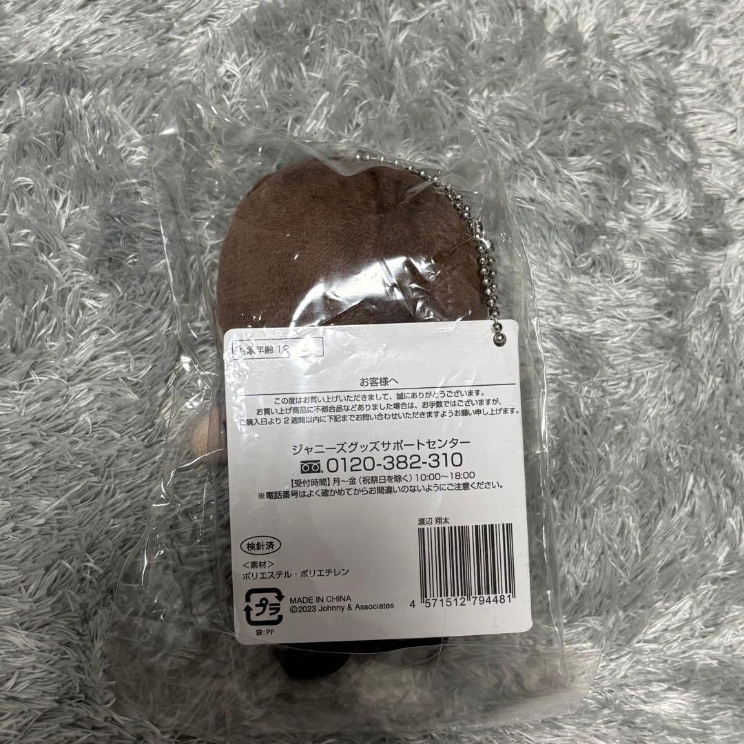 目黒蓮 渡辺翔太 すのチル ちびぬい
