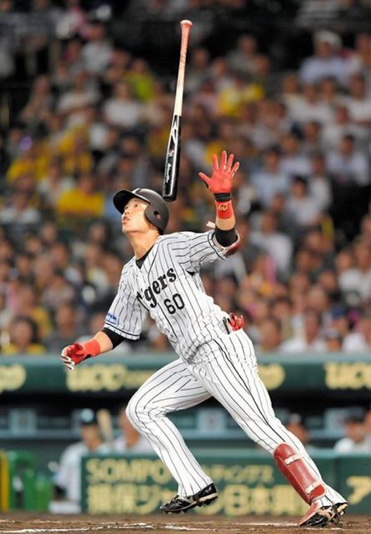 ソフトバンクホークス　中谷将大 #13　バット NPBマーク 支給品　実使用