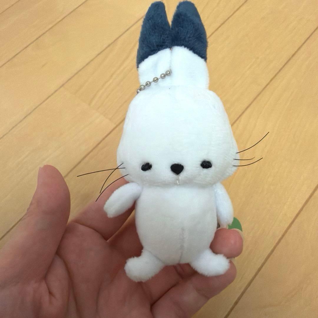 ドコムスチャンネル グッズセット