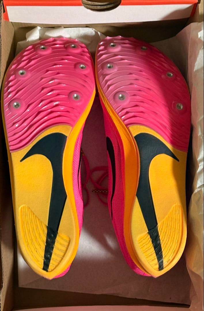 Nike ドラゴンフライ　28cm