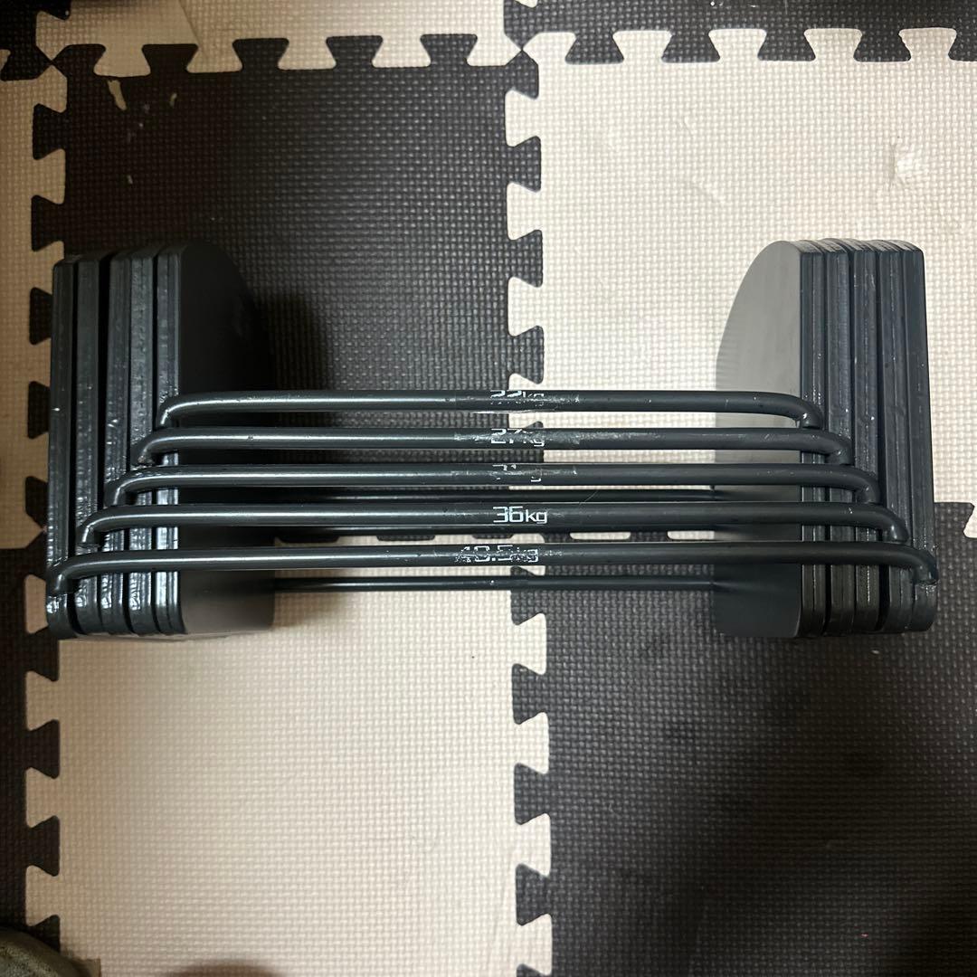 FILEDOOR 22kg-40.5kg プレートのみ　計23kg 2個セット
