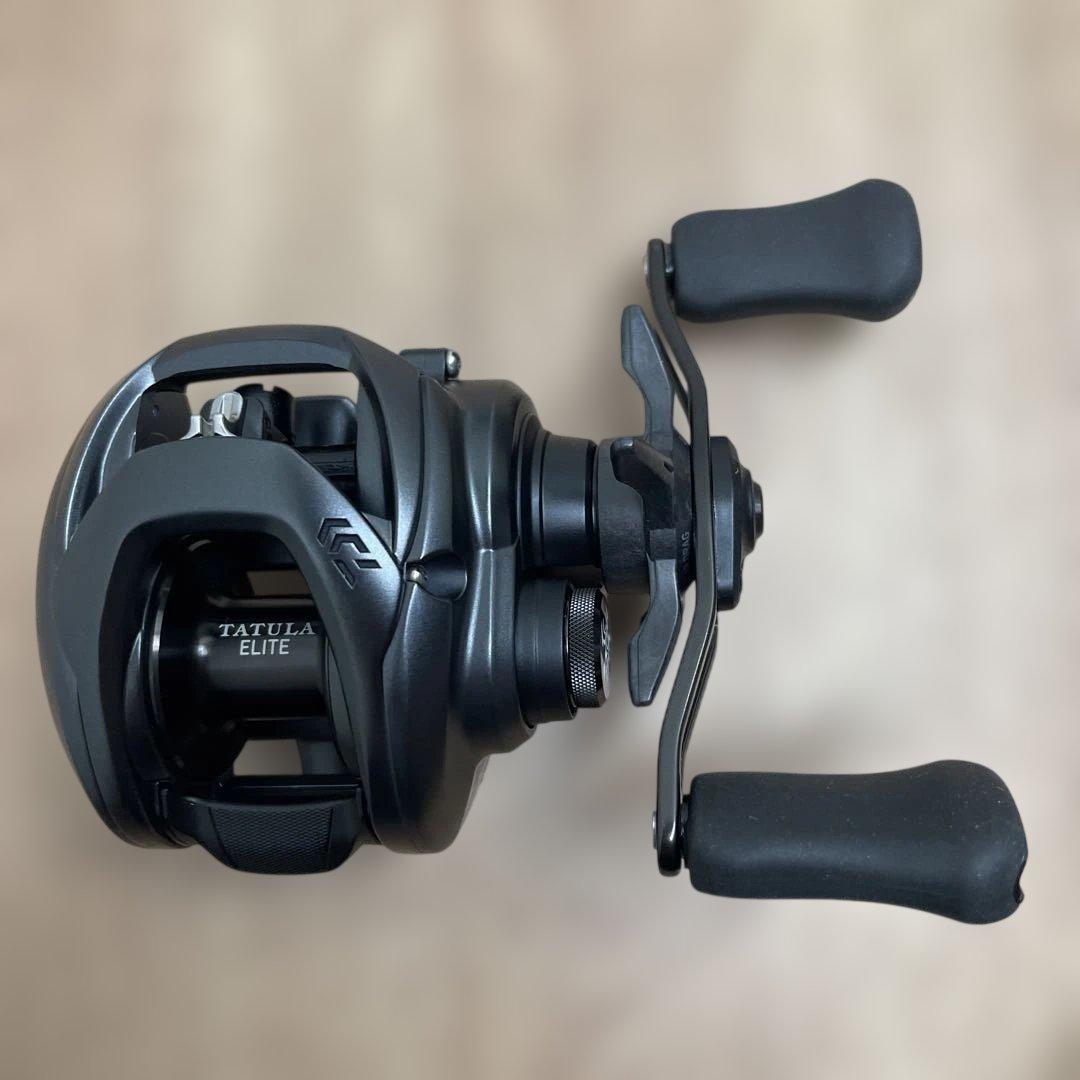 ダイワ(DAIWA) ベイトキャスティングリール タチュラ