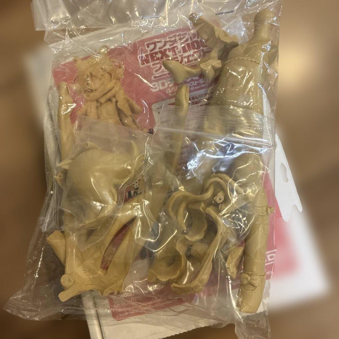 ワンダちゃん NEXT DOOR PROJECT TAQRO フィギュア管理B7