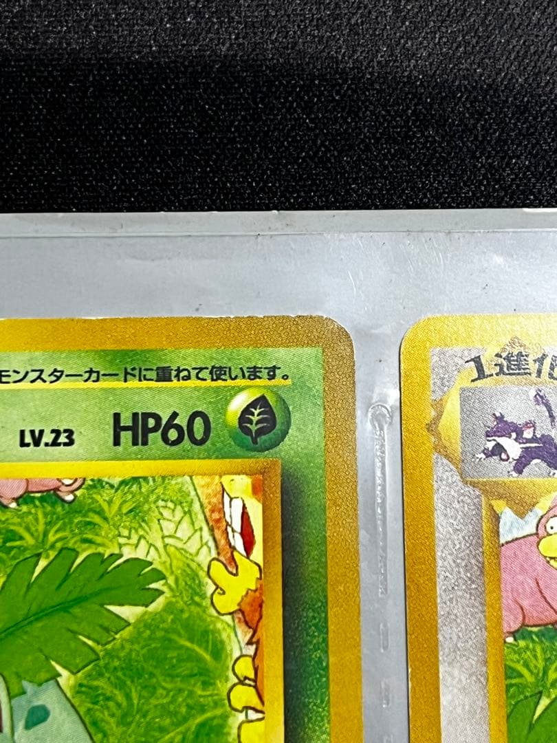 【旧裏】サザンアイランド　レインボーアイランド〜お花畑〜　ポケモンカード