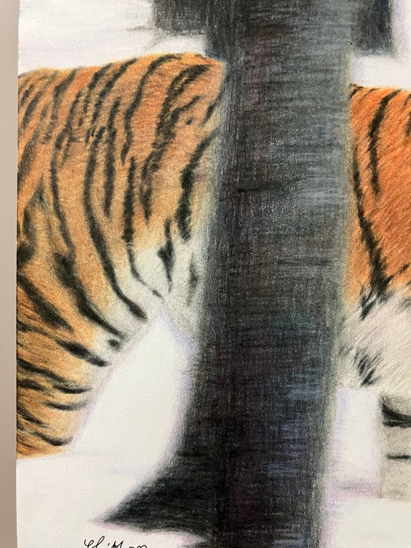 猛虎雪林を抜け 色鉛筆画