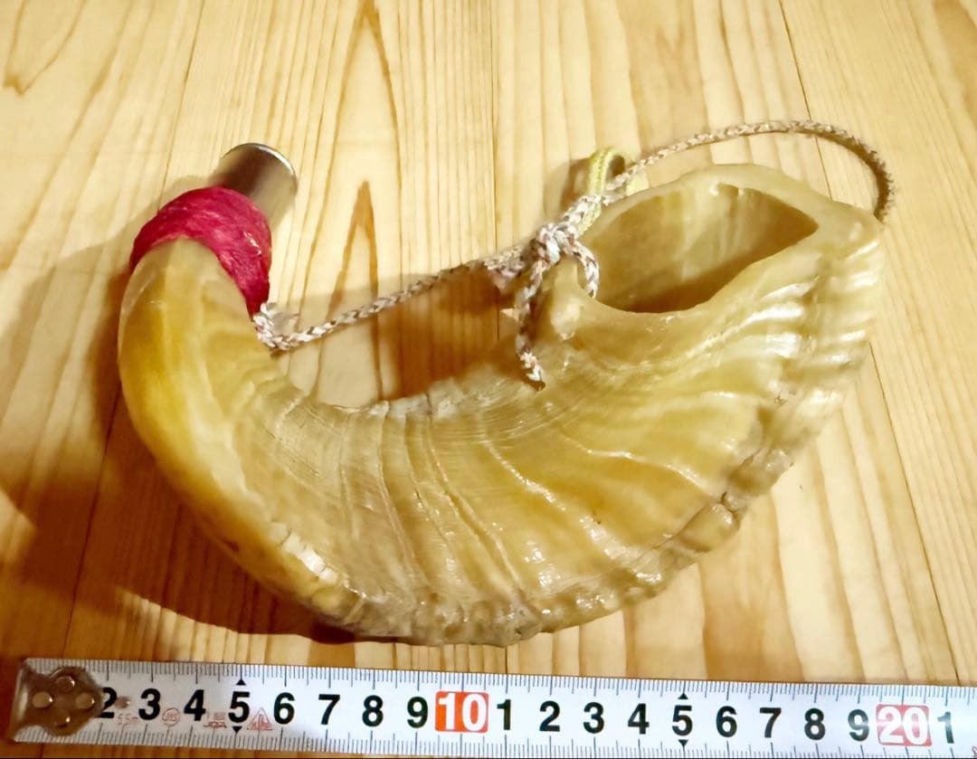 法螺貝の歌口とクラフトホーンのヒュージョン❣️ほら貝　ホラガイ　ヤギの角笛