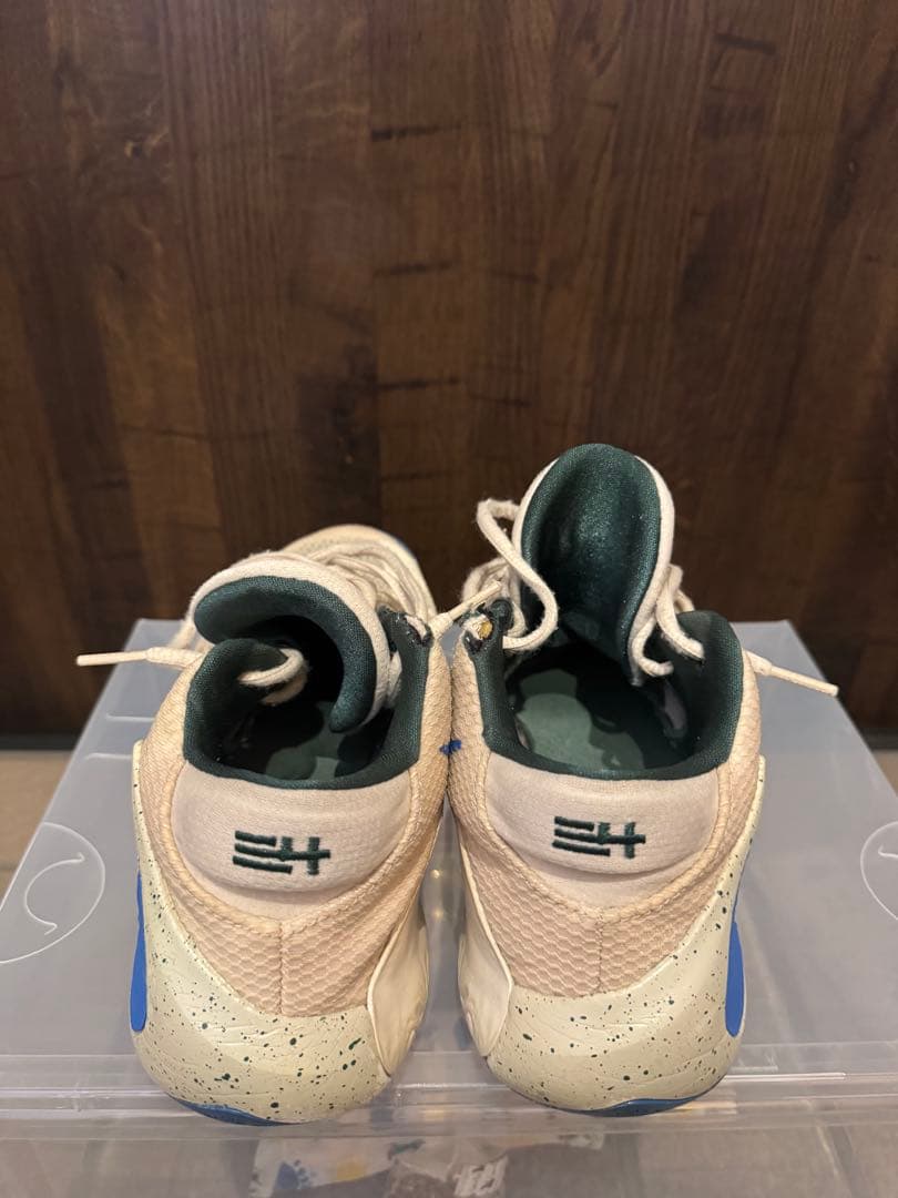 NIKE zoom freak1 バッシュ　ナイキ