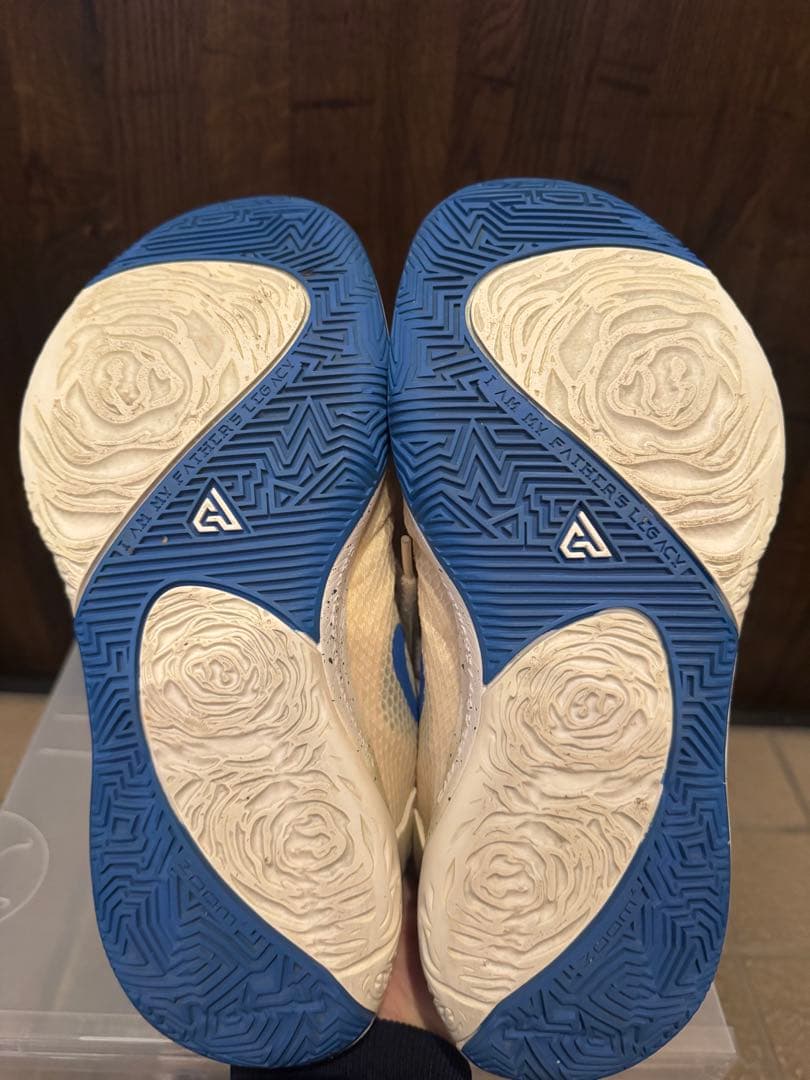 NIKE zoom freak1 バッシュ　ナイキ