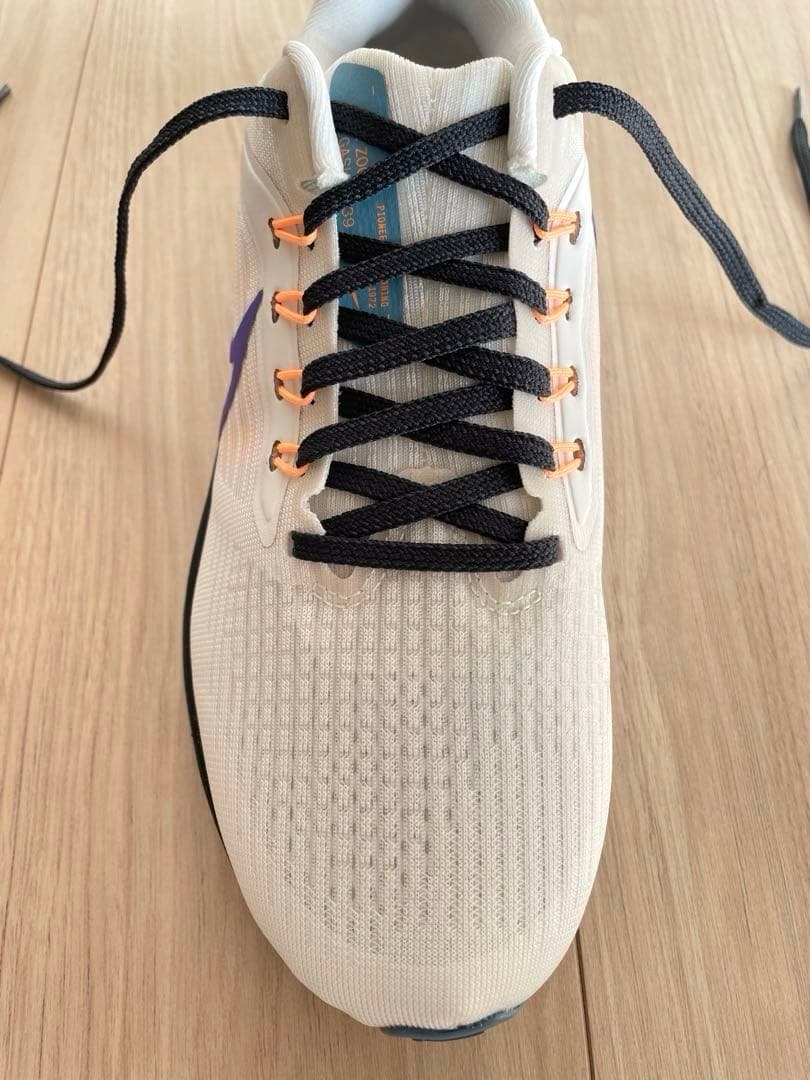 NIKE ナイキ　Zoom Pegasus 39ウィメンズ ズーム ペガサス