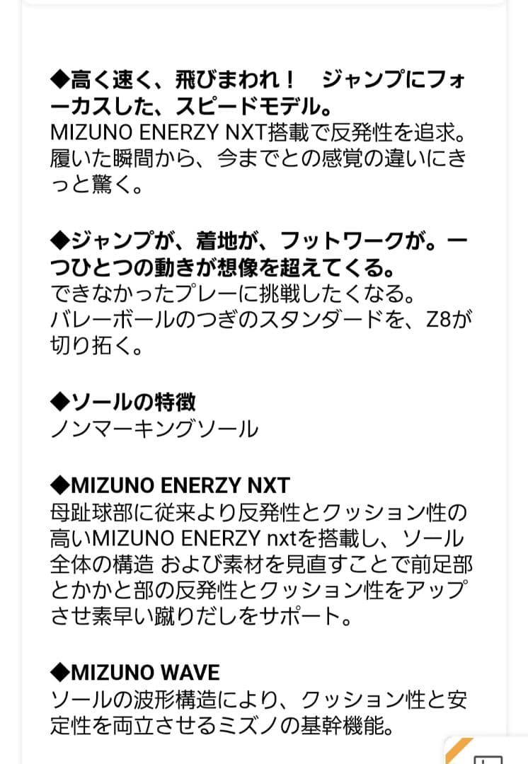 Mizuno Wave Lightning Z6 バレーボールシューズ