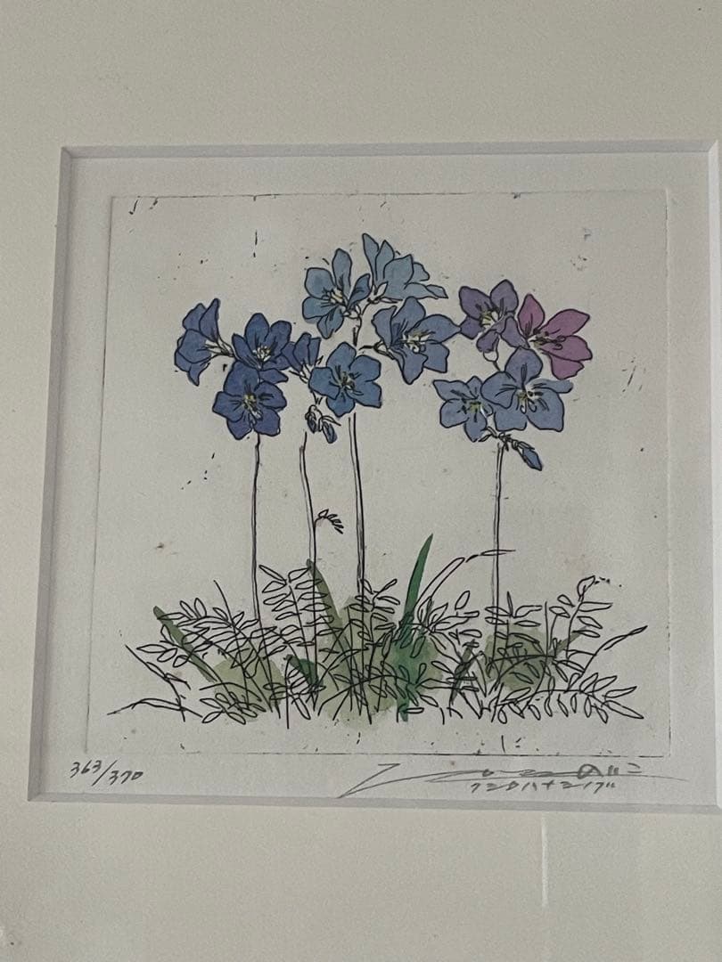 ハナシノブ花のリトグラフ 369/500 限定版