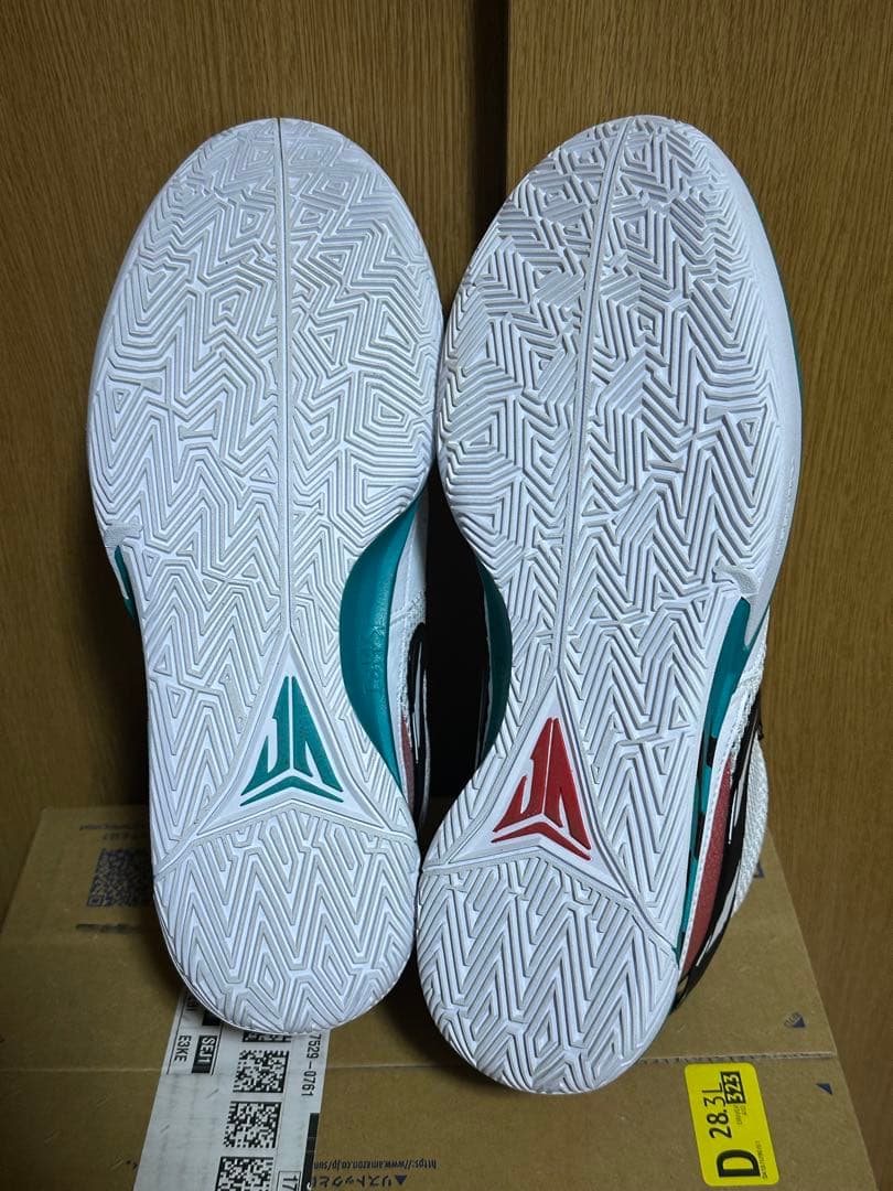 シューズ(男性用) NIKE ja1 ep 30cm