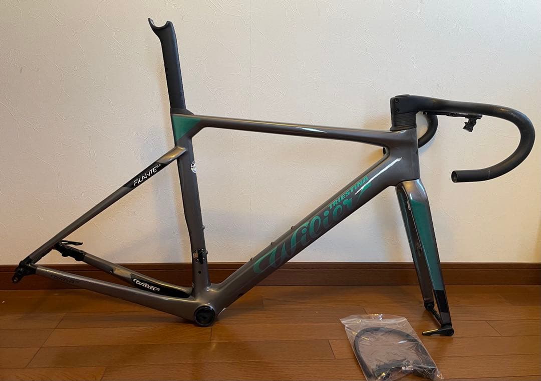 WILIER FILANTE SLR S(48) 限定カラー　フレームセット