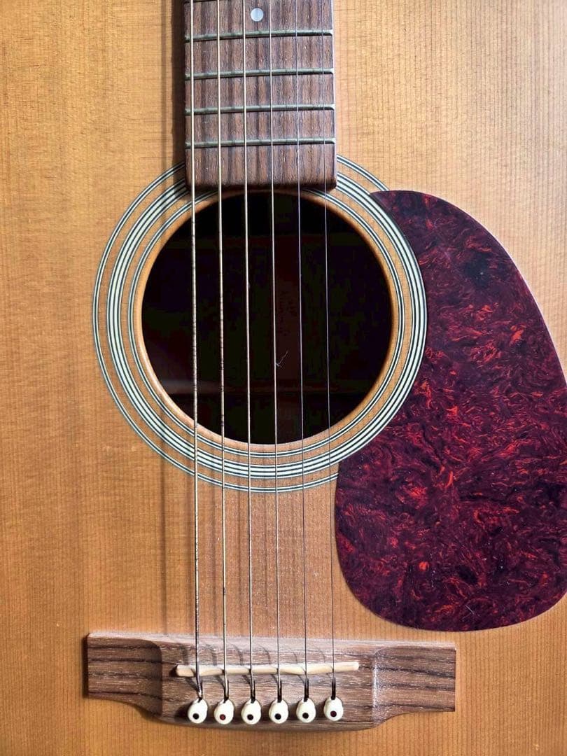 ギター Martin D-1