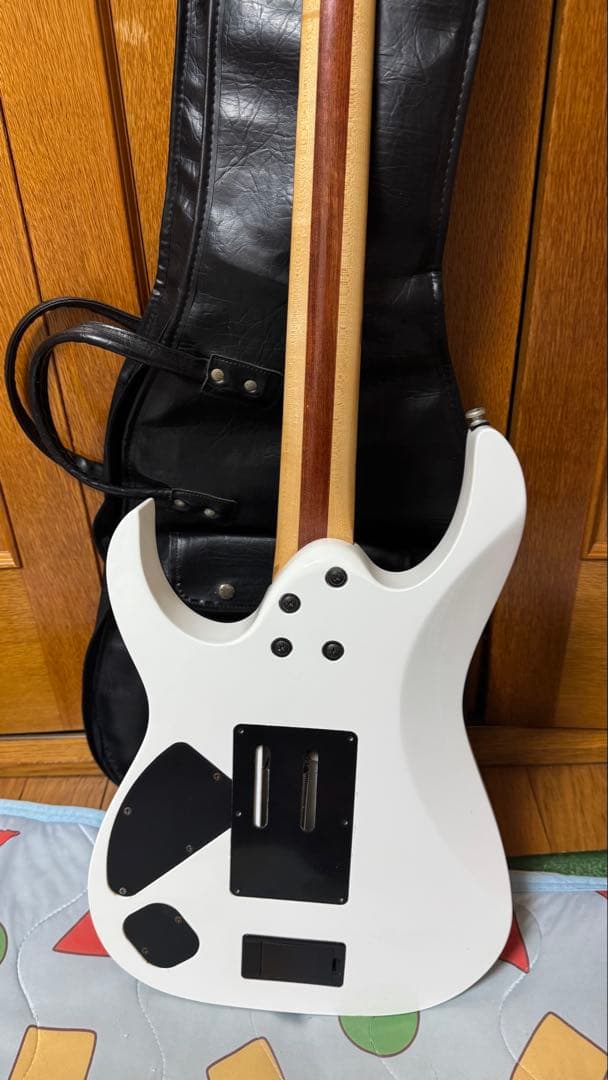 ギター Ibanez RGIR20E
