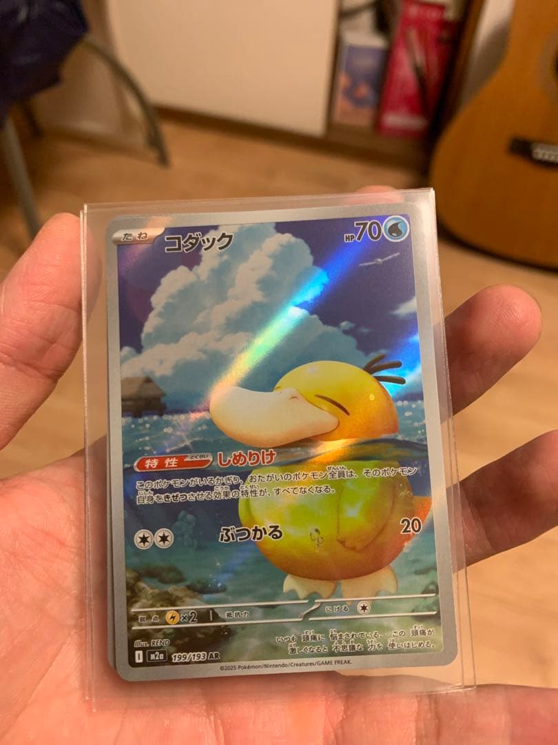 2枚セット