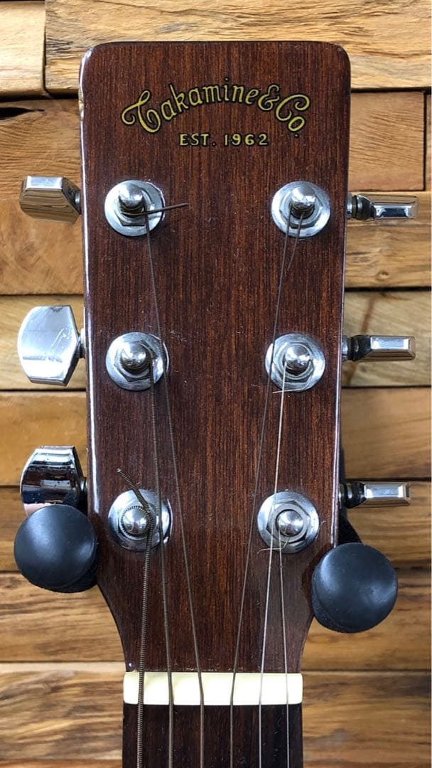 Takamine TD-25 アコースティックギター ソフトケース付