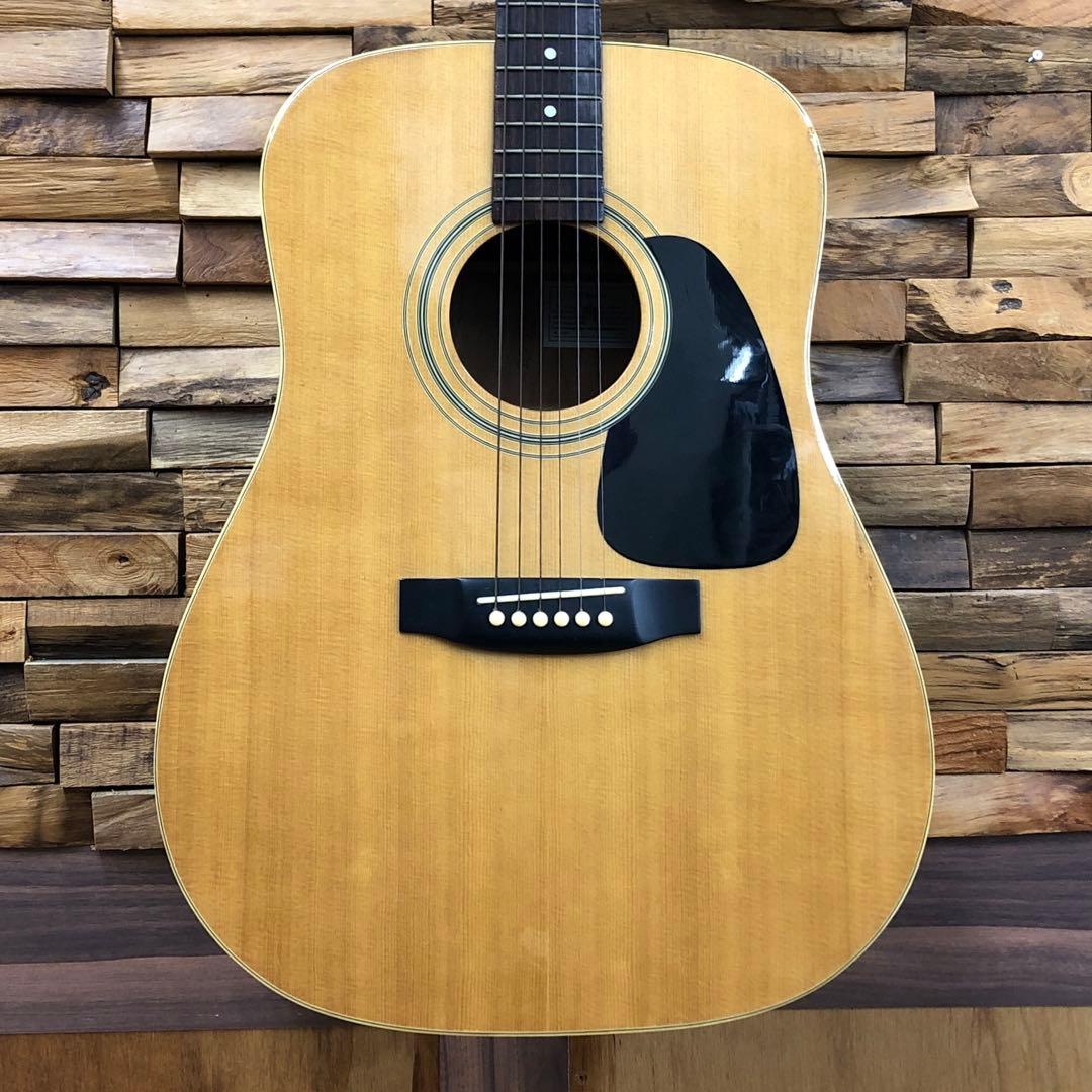 Takamine TD-25 アコースティックギター ソフトケース付