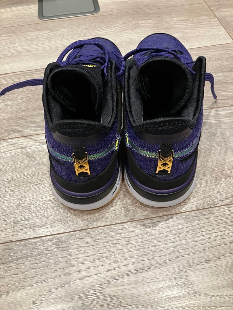 Nike LBJ シューズ 紫/黒/金