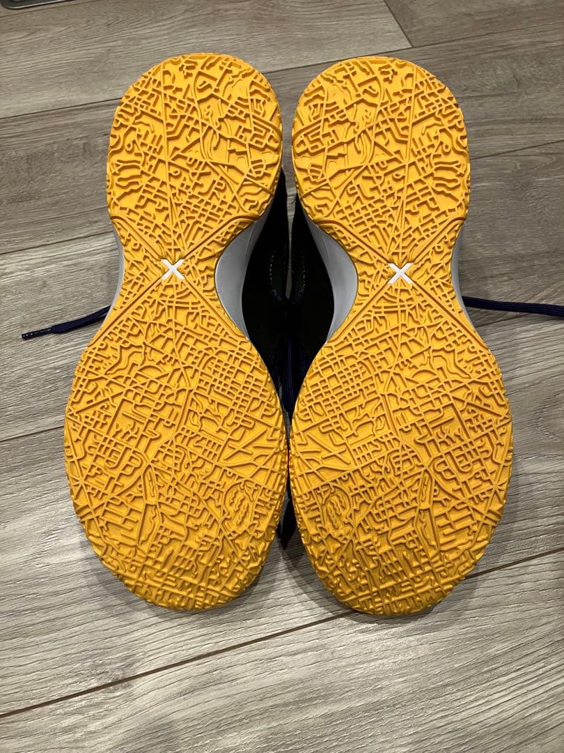 Nike LBJ シューズ 紫/黒/金