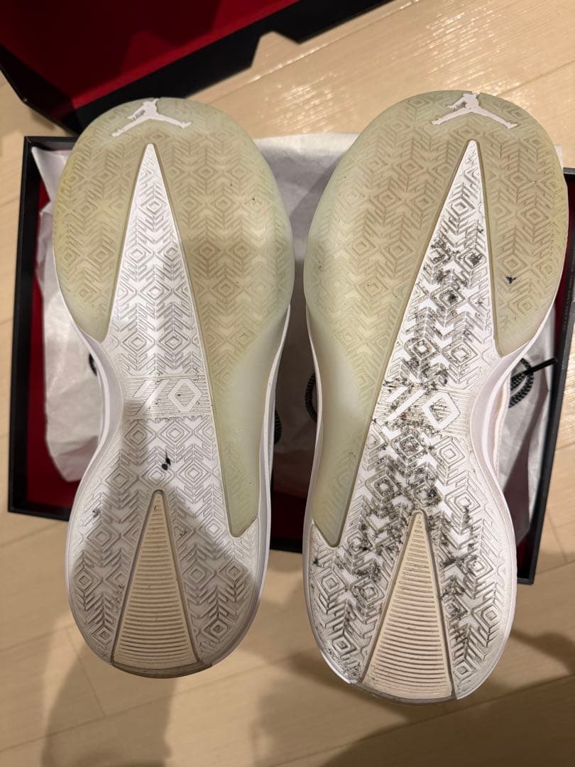Air Jordan 40 PF ザ・クラシック（HM9932-100）