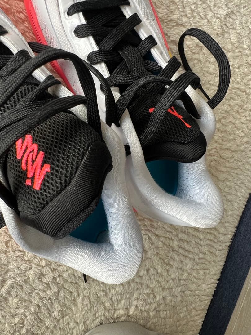 JORDAN バッシュ