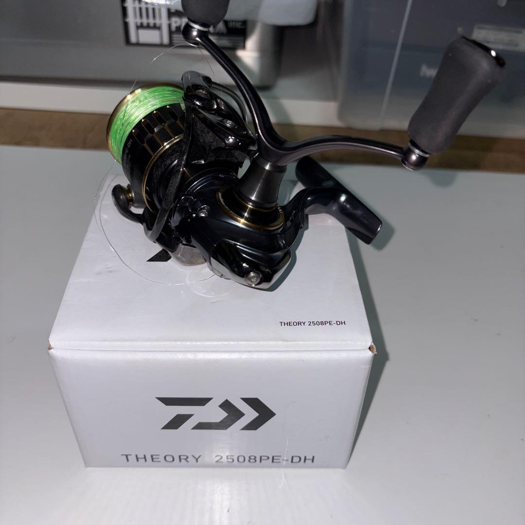 ダイワ(DAIWA) 17セオリー(THEORY) 2508PE-DH