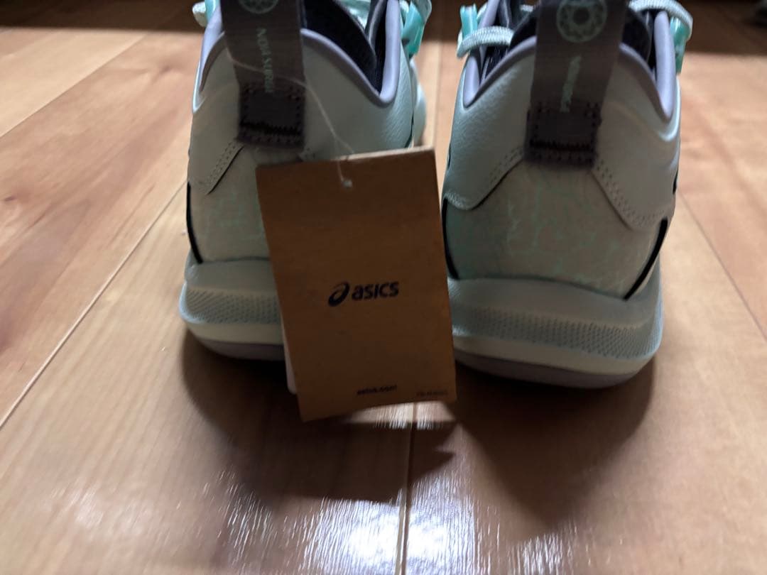 値引き！新品asics NOVA BURGE LOW 2 29.0cm